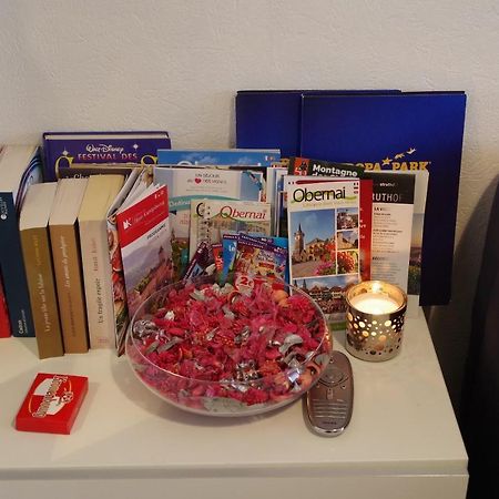 Nid Douillet A Obernai Apartman Kültér fotó